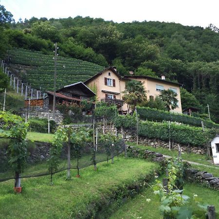 Casa Immersa Nel Vigneto Roveredo エクステリア 写真