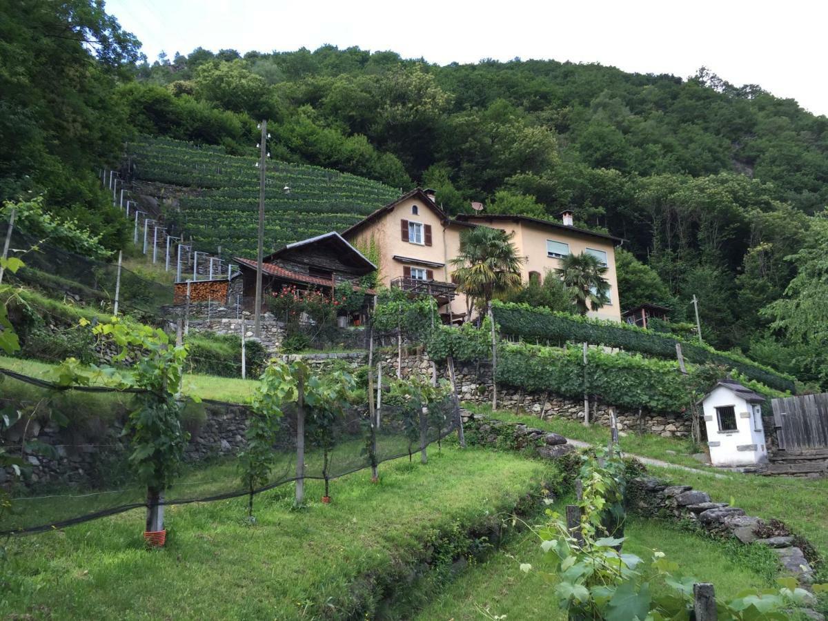 Casa Immersa Nel Vigneto Roveredo エクステリア 写真
