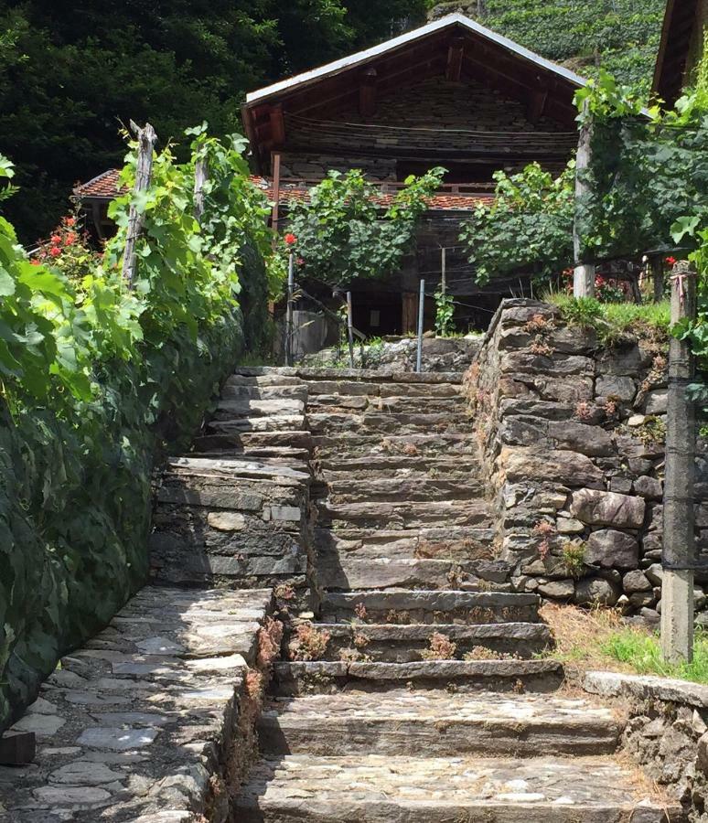 Casa Immersa Nel Vigneto Roveredo エクステリア 写真