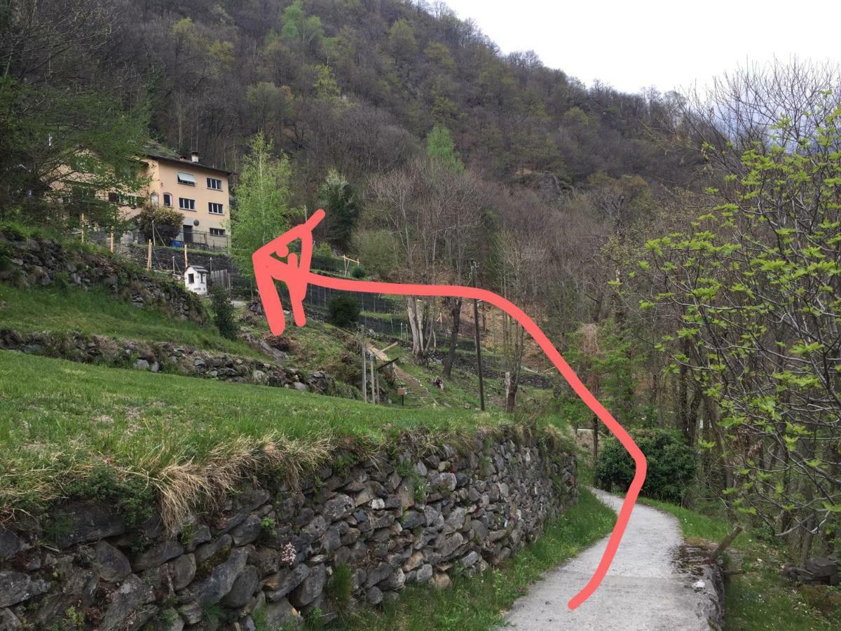 Casa Immersa Nel Vigneto Roveredo エクステリア 写真